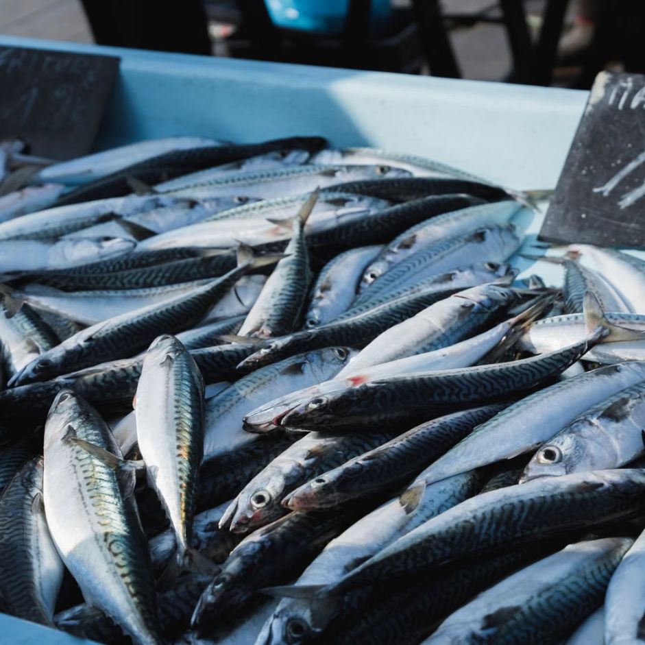 Рыба и морепродукты